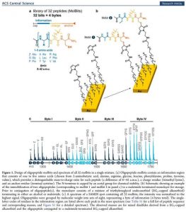 Harvard Dna Storage Acs Article Schem