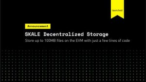 Skale Storage Scheme