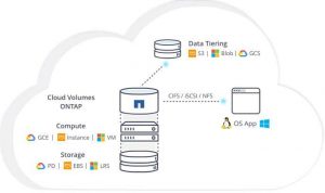 Netapp Cloud Volumes Ontap