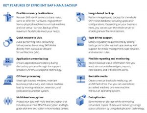 Acronis Backup For Sap Hana Scheme2