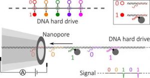 Nano Letters Cambridge Univ Cavendisk Lab Nl0c00755 0004