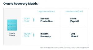 Rubrik Andes Oracle Recovery Matrix