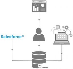 Sesame Salesforce Integration