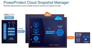 Dellemc Powerprotect Cloud Snapshot Manager