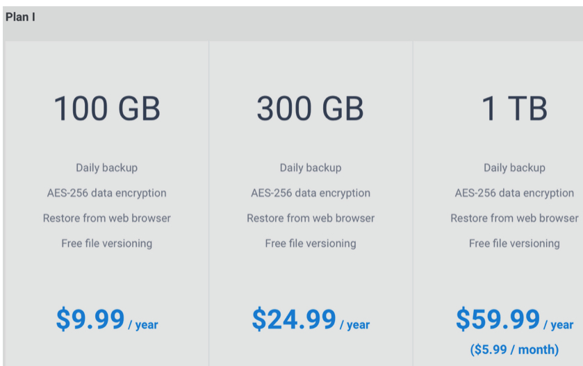 Synology Plan I