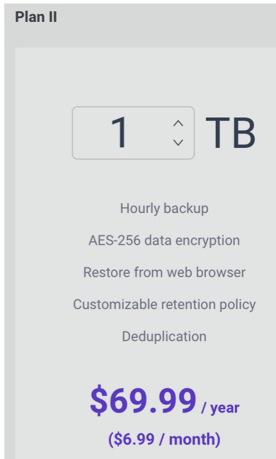 Synology Plan Ii