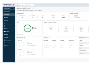 Commvault Disaster Recovery Screen