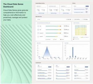 Netapp Cloud Data Sense Scheme