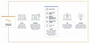 Aws Amazon Fsx For Openzfs