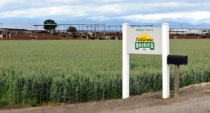 California Dairies Deploys Veeam