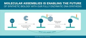 Molecular Assemblies Synthesis Cycle V6 1 1536x678