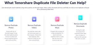 Tenorshare Duplicate File Deleter Scheme 2203