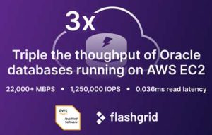 Flashrig 3x Throughput Of Oracle 2210 Sn