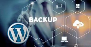 Host Color 1 Click WordPress Backup 2211