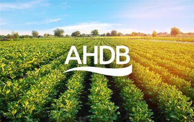 Uk's Agriculture And Horticulture Development Board (ahdb) Appoints Virtualdcs