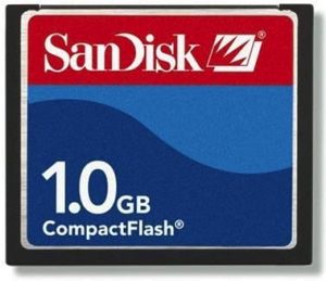 Sandisk Cf 1gb