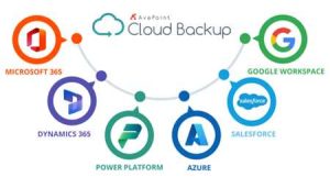 Avepoint Cloud Backup For Multi Saas Data Protection Scheme1