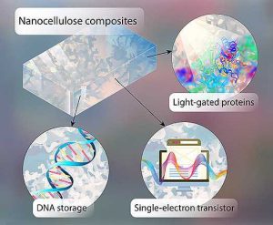 Würzburg University Dna Storage Intro