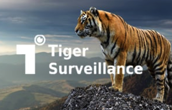 Tiger Surveillance