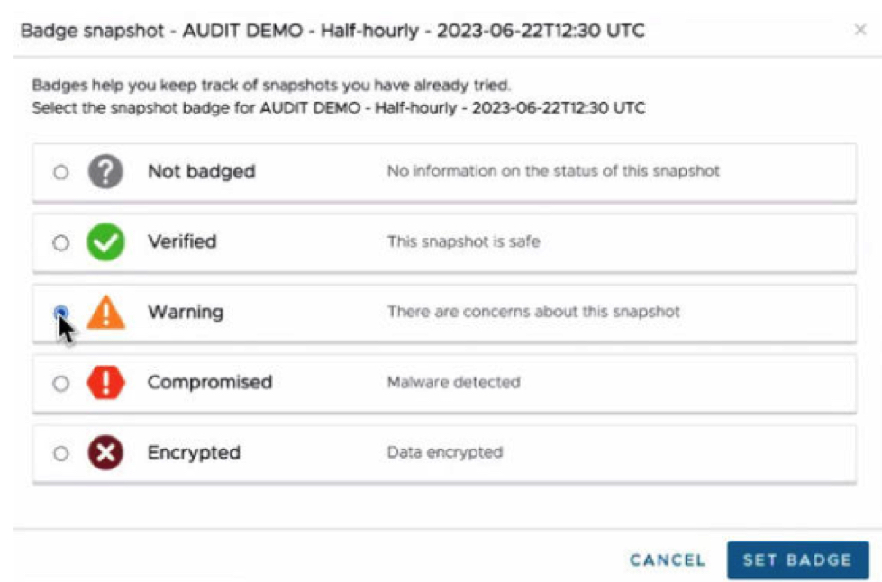 The Futurum Group Scalable Ransomware Protection F7