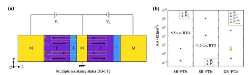 Tunneling Electroresistance F3