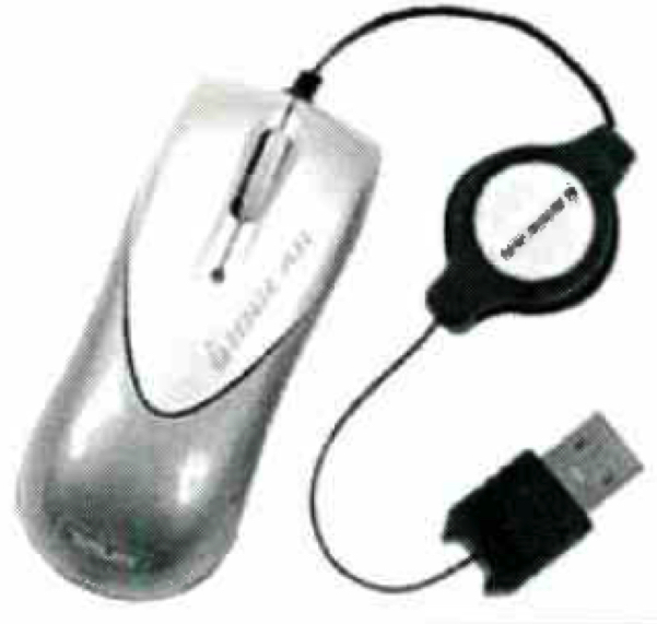 History Mouse Flash