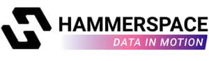 Hammerspace Achieves Record Business Momentum