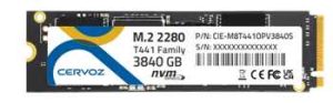 Cervoz T441 Family Ssds