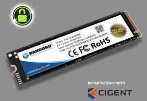 Kanguru Defender Opal Nvme Ssd300 Fips 140 2 Cigent Very Large