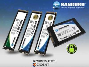 Kanguru Ssds Internal With Cigent