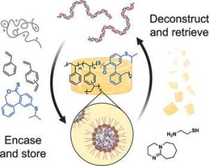 Mit Dna Storage Ja4c01925 0006