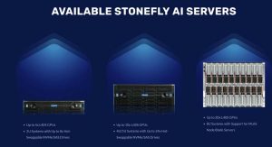 Stonefly Ai Servers Scheme