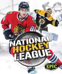 National Hockey League Partners With Vast Data