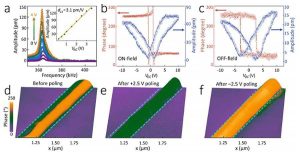 Tohoku University Ferroelectric Hysteresis And Domain Switching F2