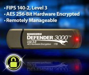 Defender 3000 Fips 1tb Security Background