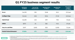 Hpe Q1 Fy25segment Results