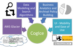 cognosys_cogice_storage_array_management