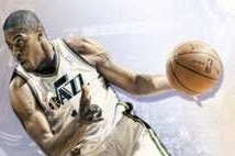 small_tree_utah_jazz_kjzztv