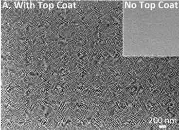 university_of_texas_computer_memory