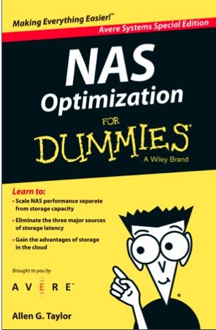 nas_optimization_dummies_avere