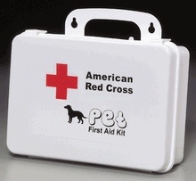 decho_mozy_american_red_cross