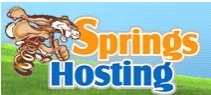 springs_hosting_adds_r1soft_cdp