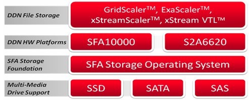 datadirect_serves_file_systems_natively