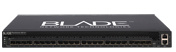 blade_rackswitch_g8124