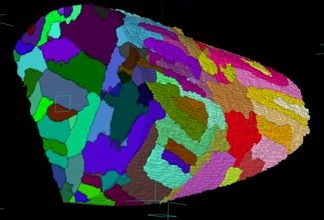 magnetic_domains_in_3d