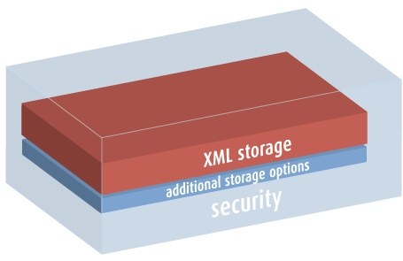 zylab_supports_for_xml_storage_format